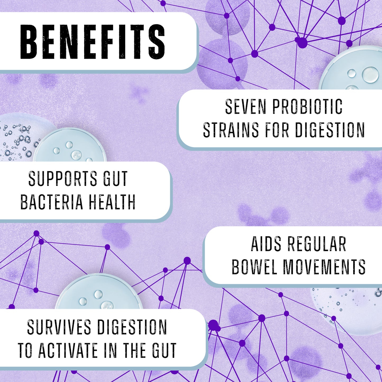 Healthy Gut