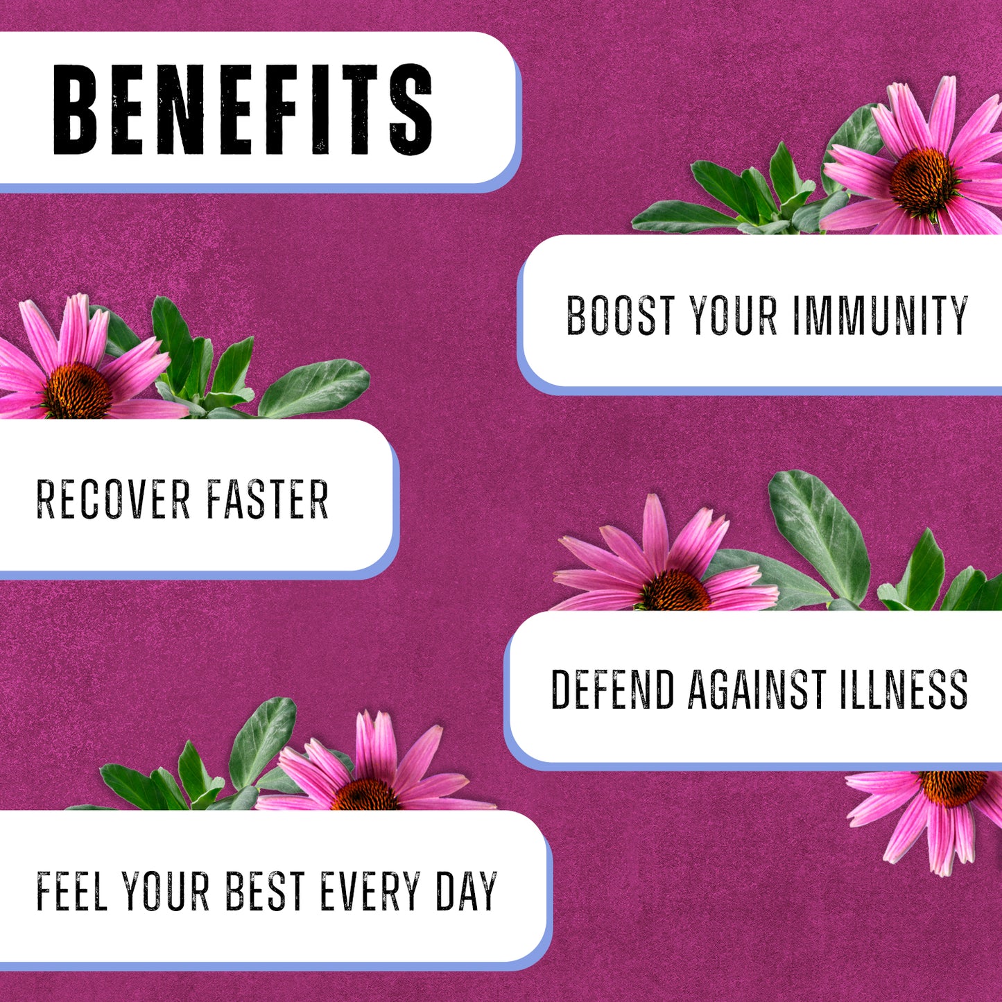Immune Defense Complex
