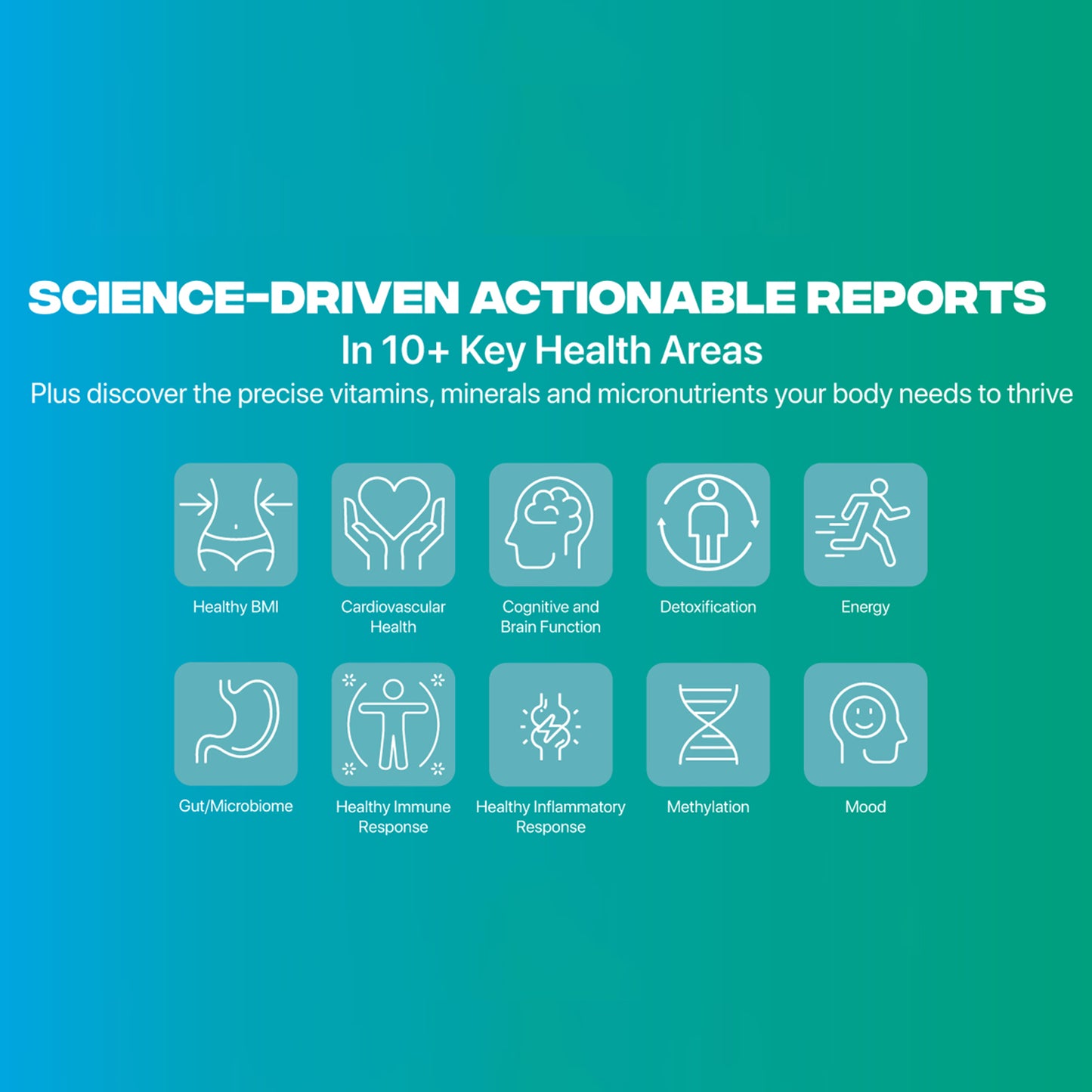 The Code Custom Nutritional System